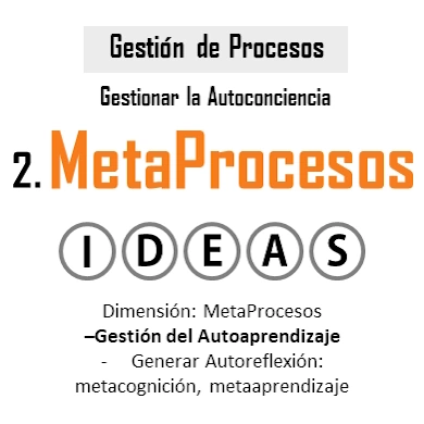 Dimensión Metaprocesos - con su pilar la Autogestión, mostrando 
                    a estructura que integra los procesos ejecutivos, para el 
                    desarrollo de la motivación del alumno.